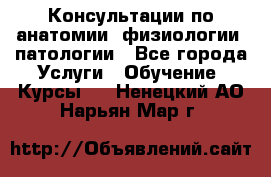 Консультации по анатомии, физиологии, патологии - Все города Услуги » Обучение. Курсы   . Ненецкий АО,Нарьян-Мар г.